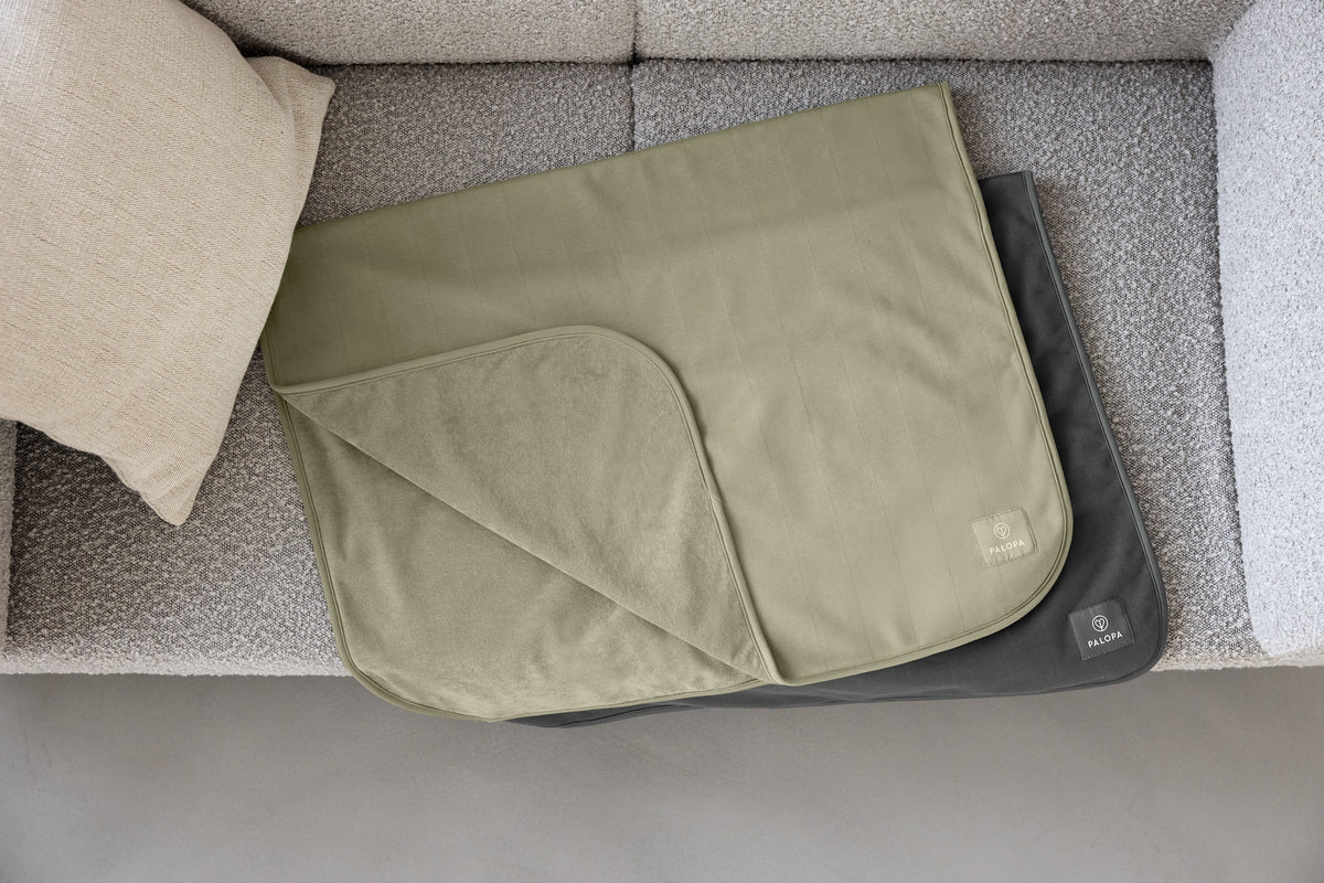 PALOPA Hunde Schmutzfangmatte Benti Anthrazit Kuscheldecke für Welpen