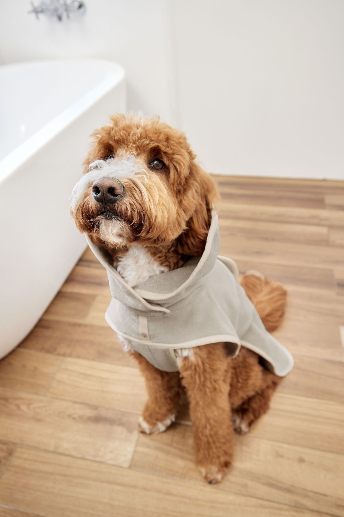 PALOPA Hundebademantel Robi Beige moderner Hundebademantel