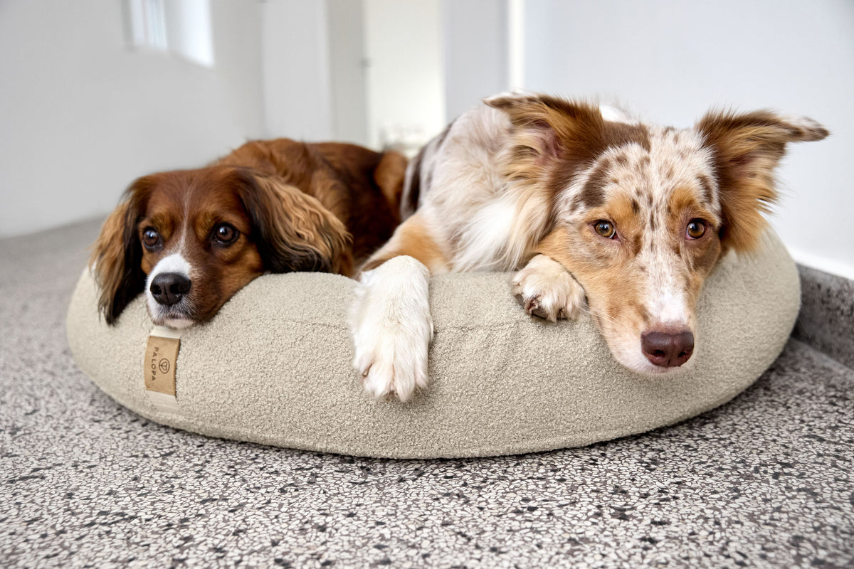 PALOPA Hundebett Donut Fippa Hafer Hundepouf Beige rund Boucle Teddystoff
