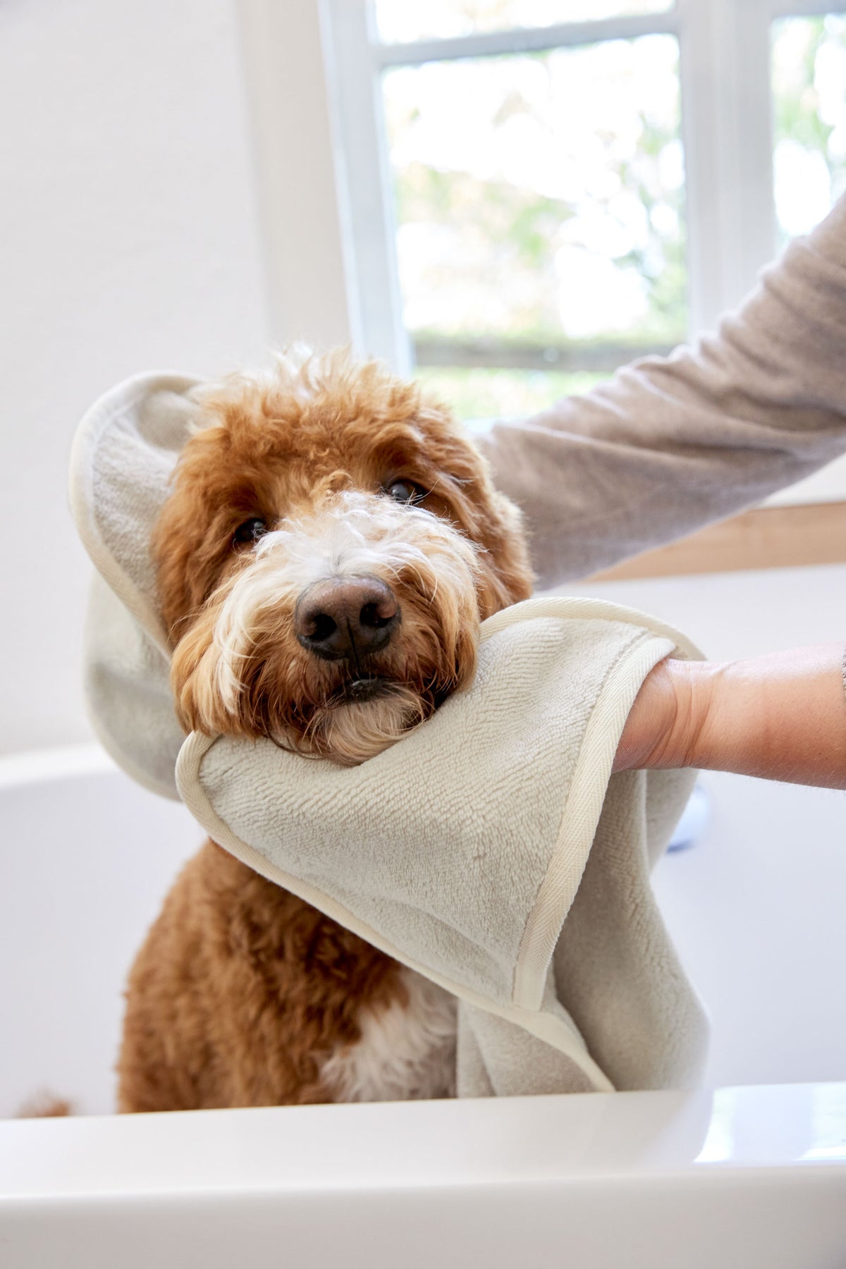 PALOPA Hundehandtuch Kosy Beige Hundehandtuch aus Baumwolle