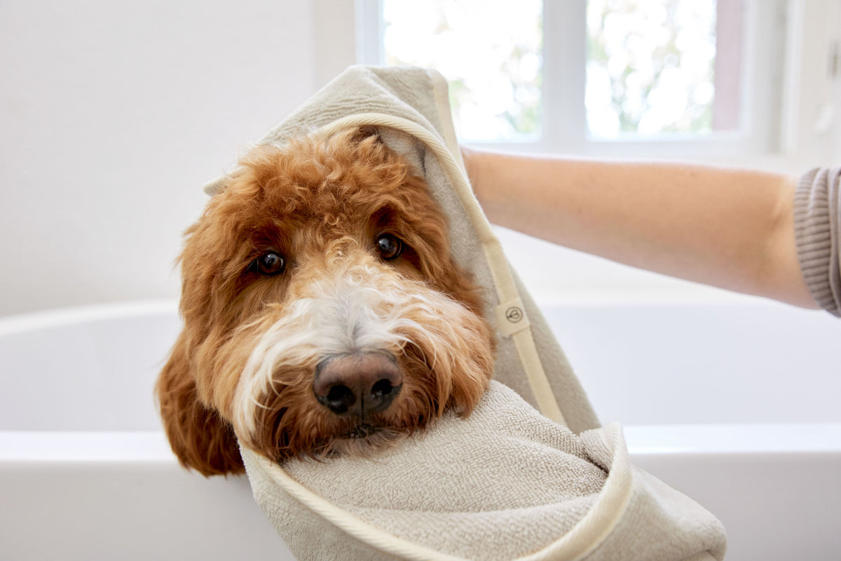 PALOPA Hundehandtuch Kosy Beige Hundehandtuch aus nachhaltigem Frottee