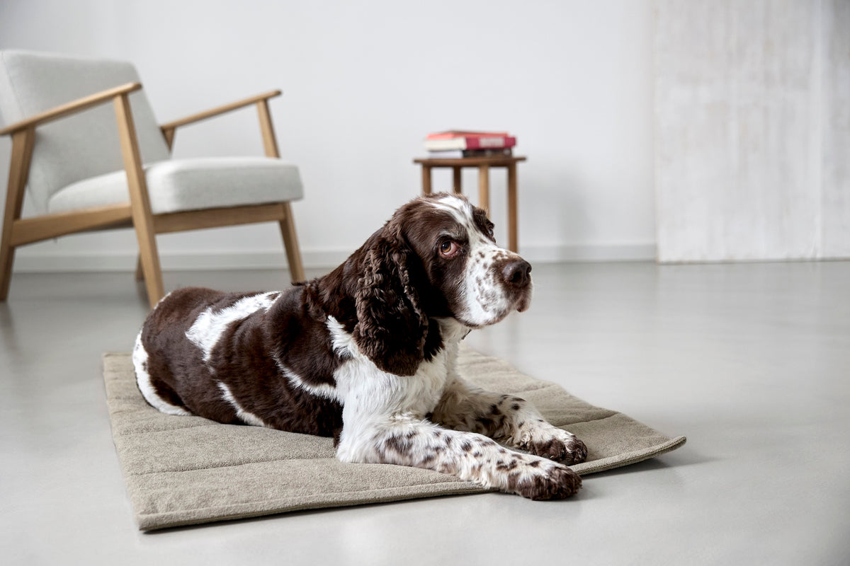 PALOPA Hundematte Alma Greige Hundereisebett Hundereisedecke