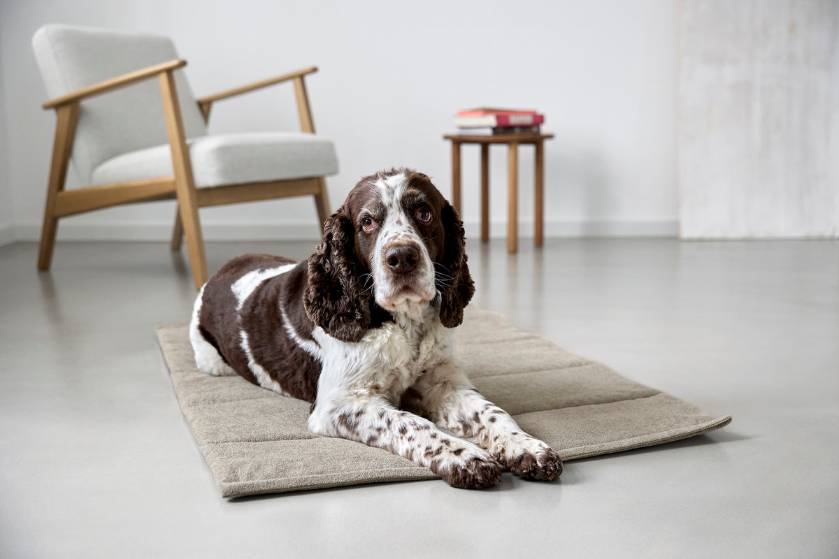 PALOPA Hundematte Alma Greige Hundereisebett