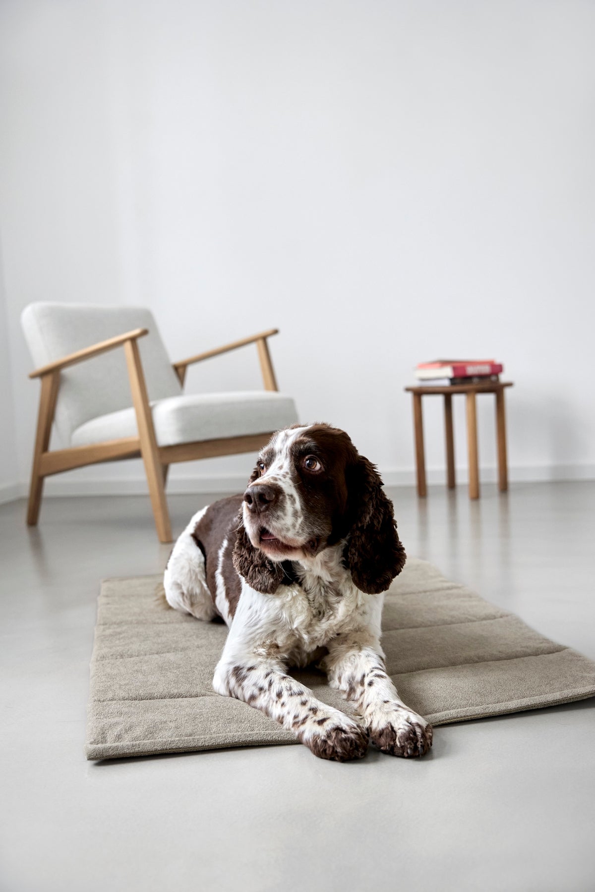 PALOPA Hundematte Alma Greige Hundereisedecke faltbar