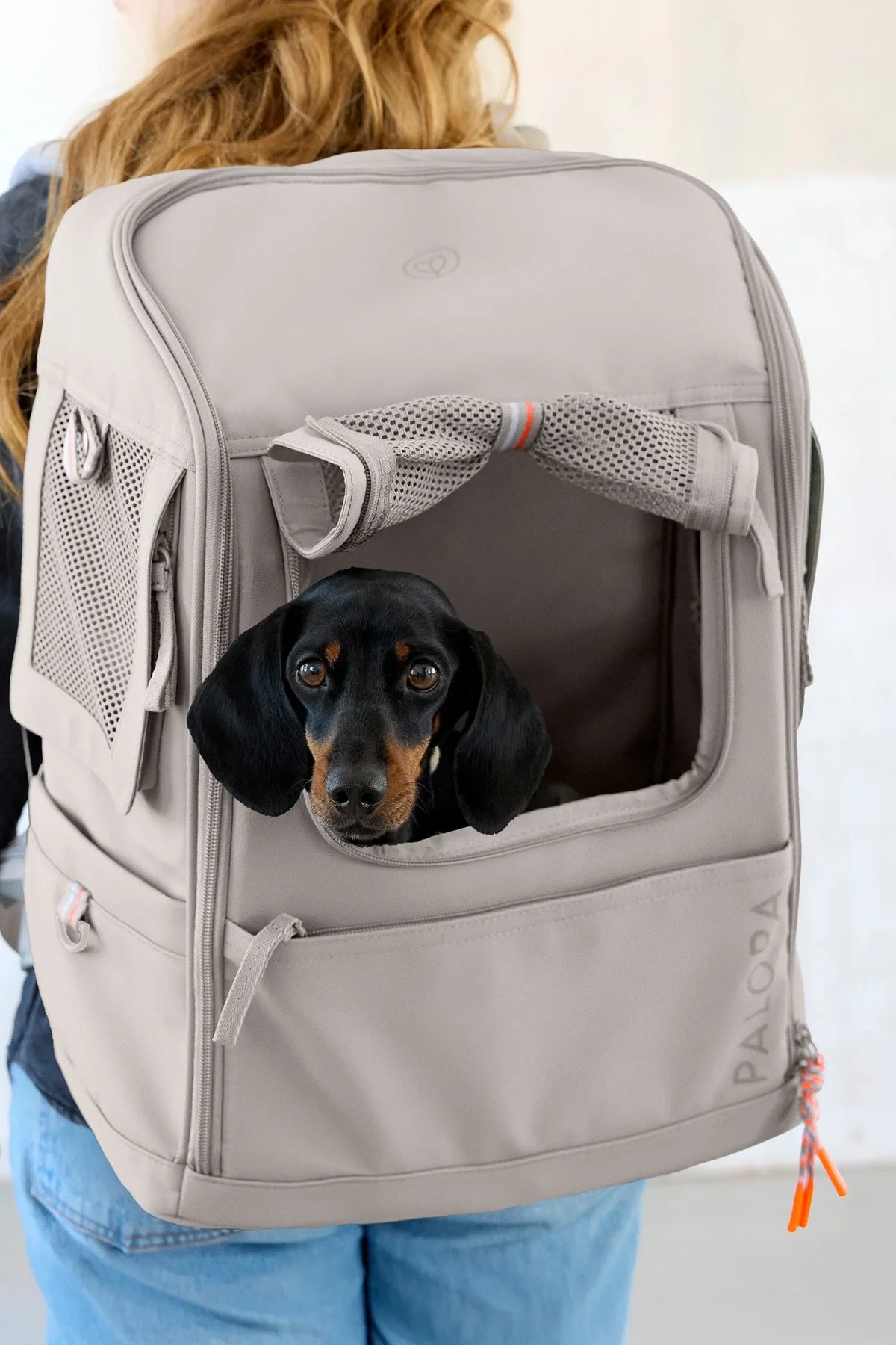 PALOPA Hundetragerucksack Kari Taupe Hundetragetasche Reisen mit Hund