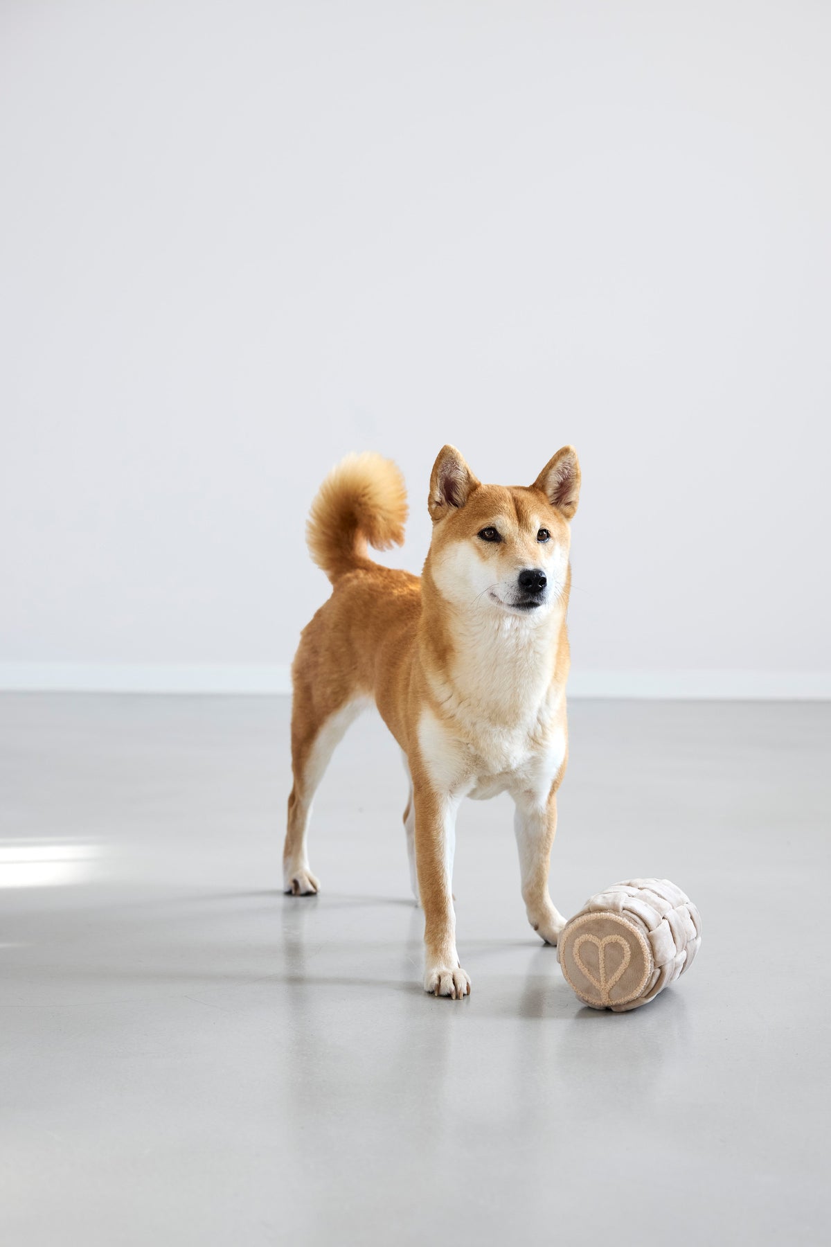 PALOPA Schnüffelspielzeug Kalpi Hundespielzeug Welpenspielzeug