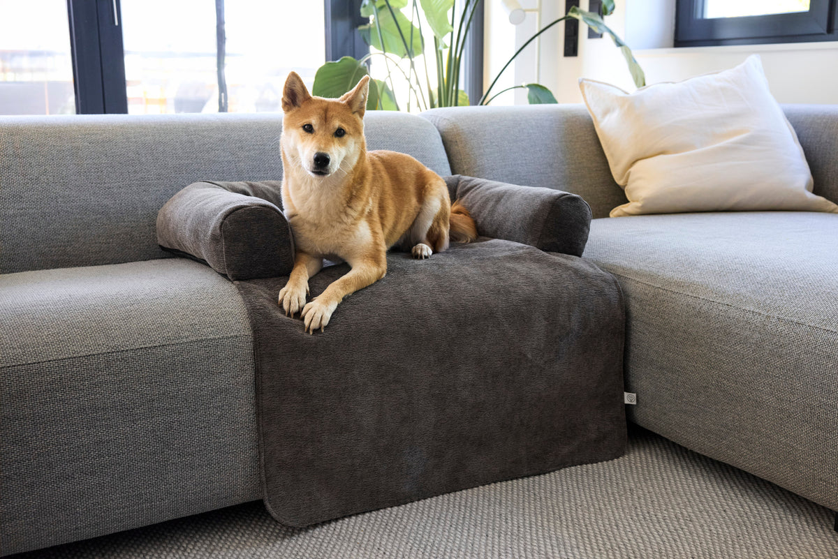 PALOPA Sofa Schutzmatte Rika Anthrazit Hundedecke Sofa