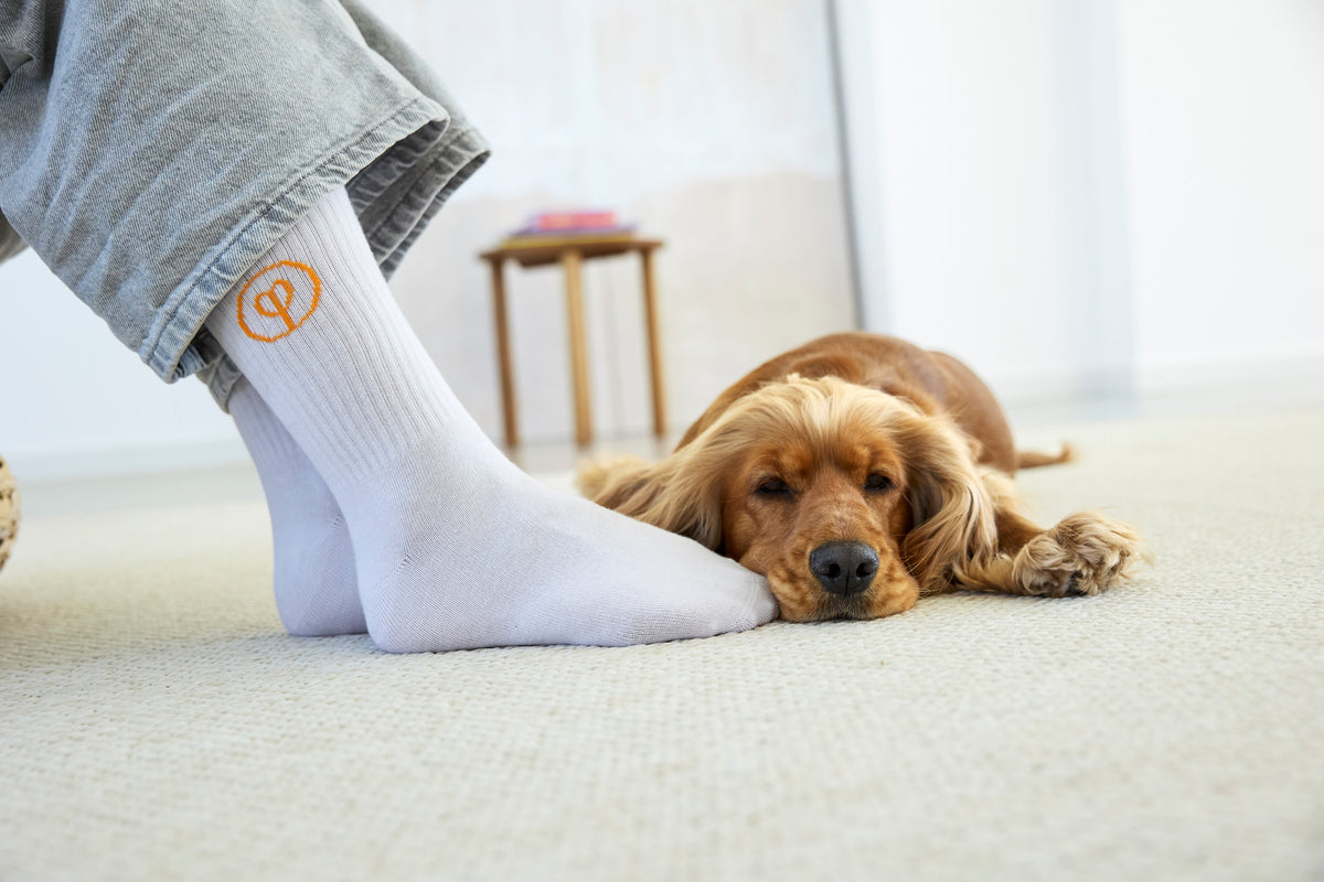 PALOPA Tennis Socken GOTS Logo Orange Blue Grey Socken Hundebesitzer