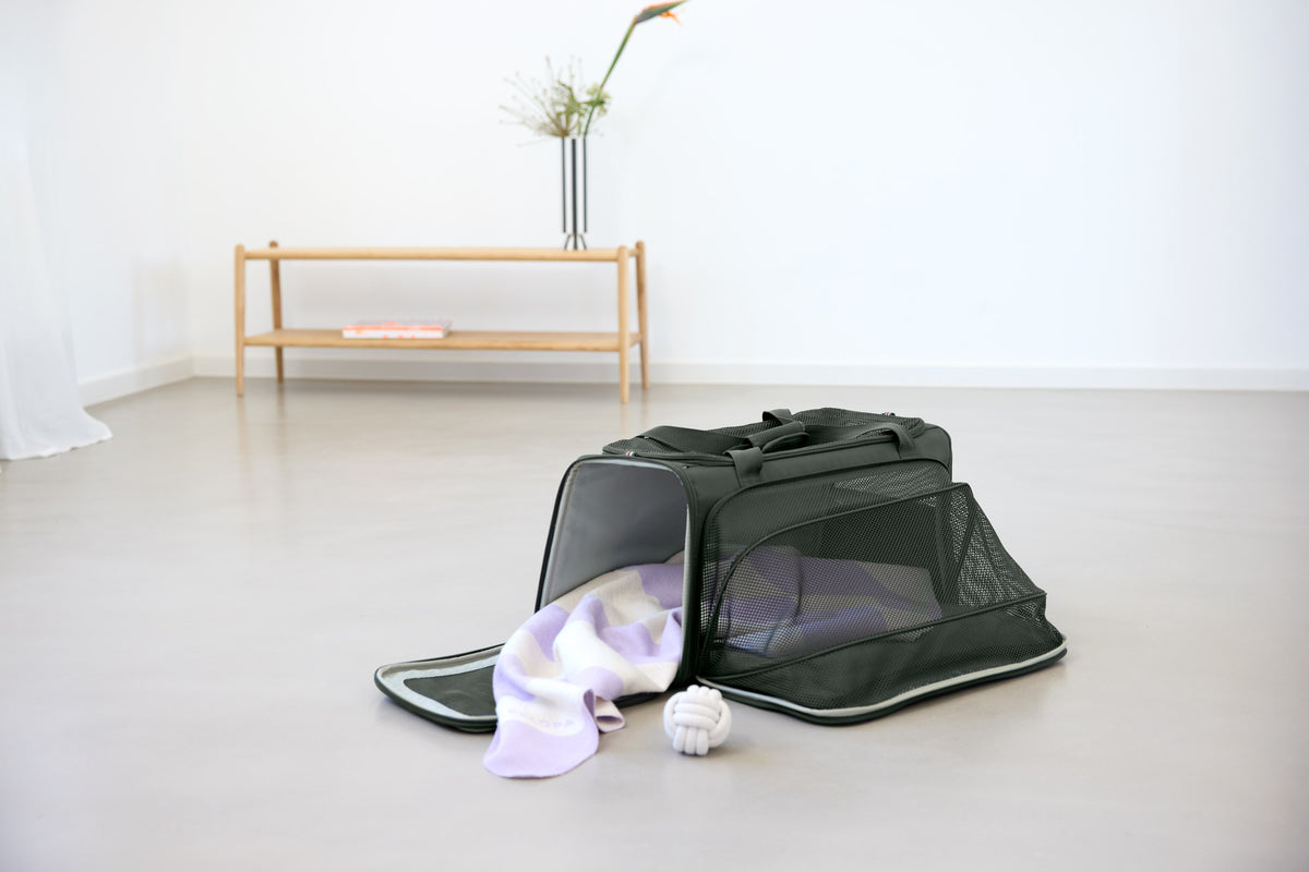 PALOPA Travel Carrier Bag Benno Dunkelgrün Hundetasche Dackel