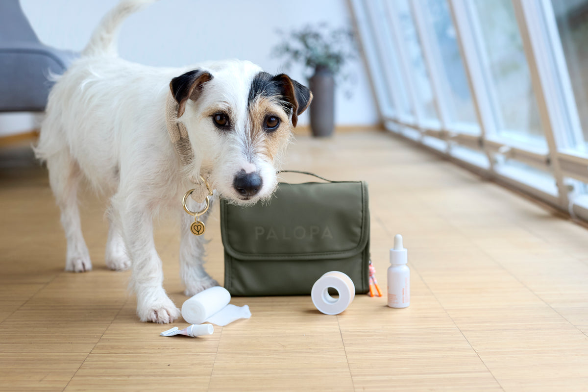 Palopa Hunde Erste-Hilfe-Set Bano Dunkelgruen Notfallset