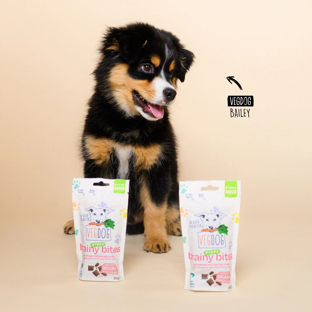 VEGDOG Brainy Bites Hundesnacks vegan