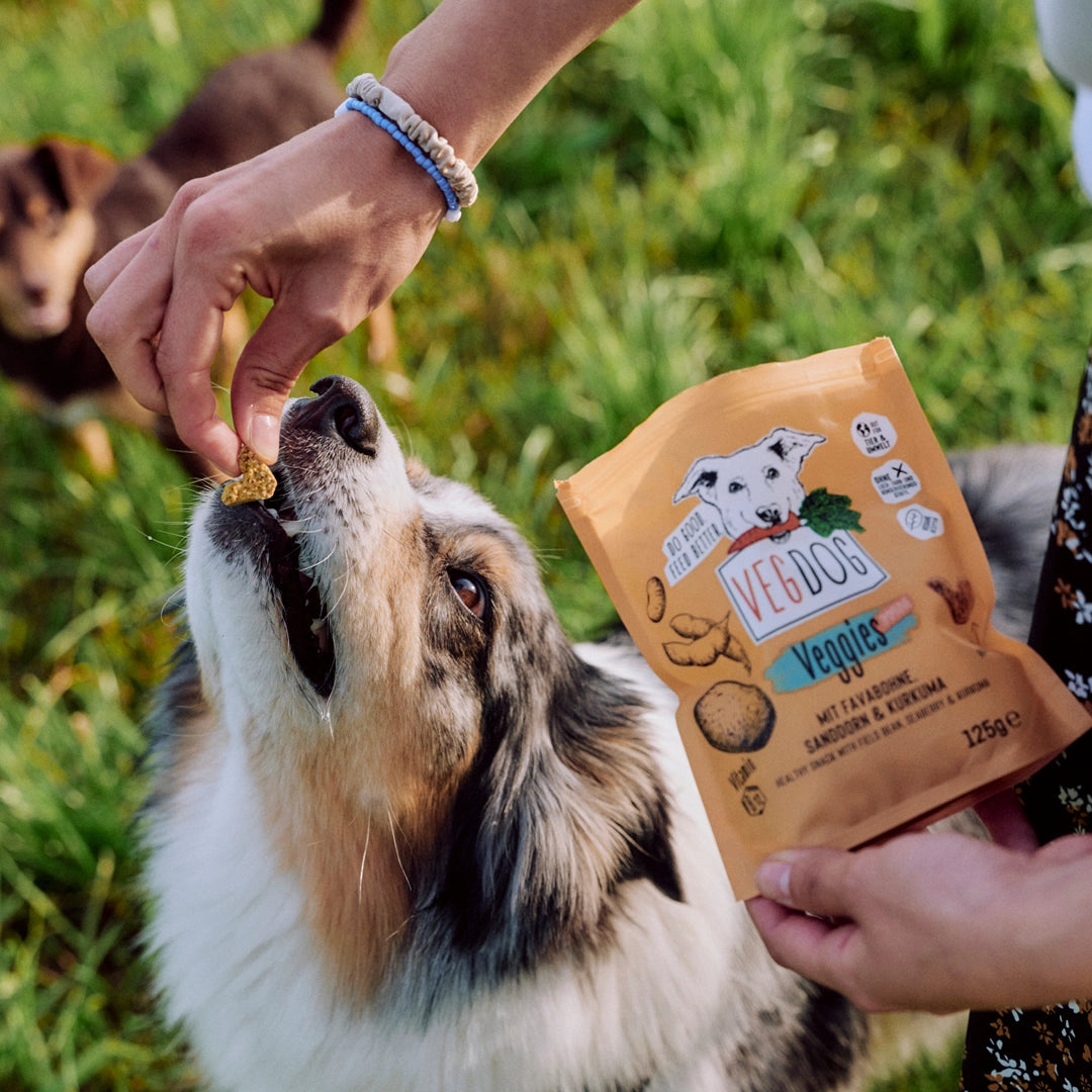 VEGDOG VEGGIES immune Vegane Snacks für Hunde
