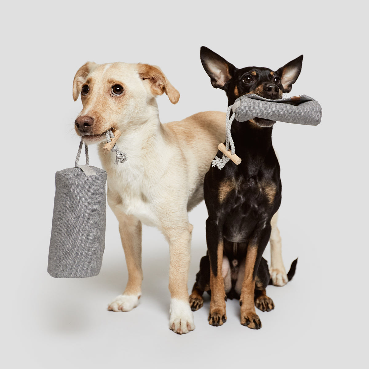 Cloud7 Futter Dummy Heather Grey Futter Dummy XS Heather Grey Hundetraining