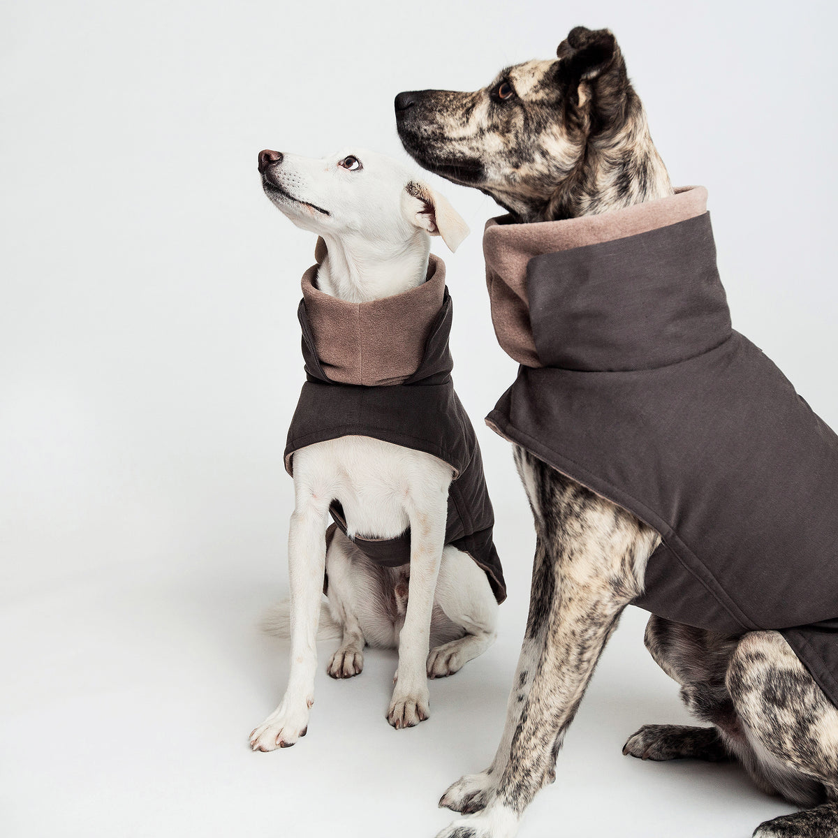 Hundemantel Brooklyn Graphit Hundejacke