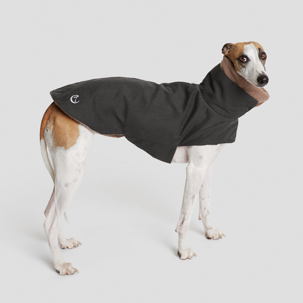 Hundemantel Brooklyn Graphit Hundejacke waschbar