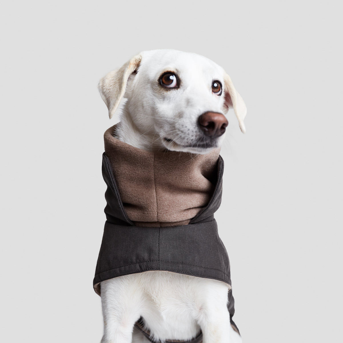 Hundemantel Brooklyn Graphit Hundewintermantel waschbar