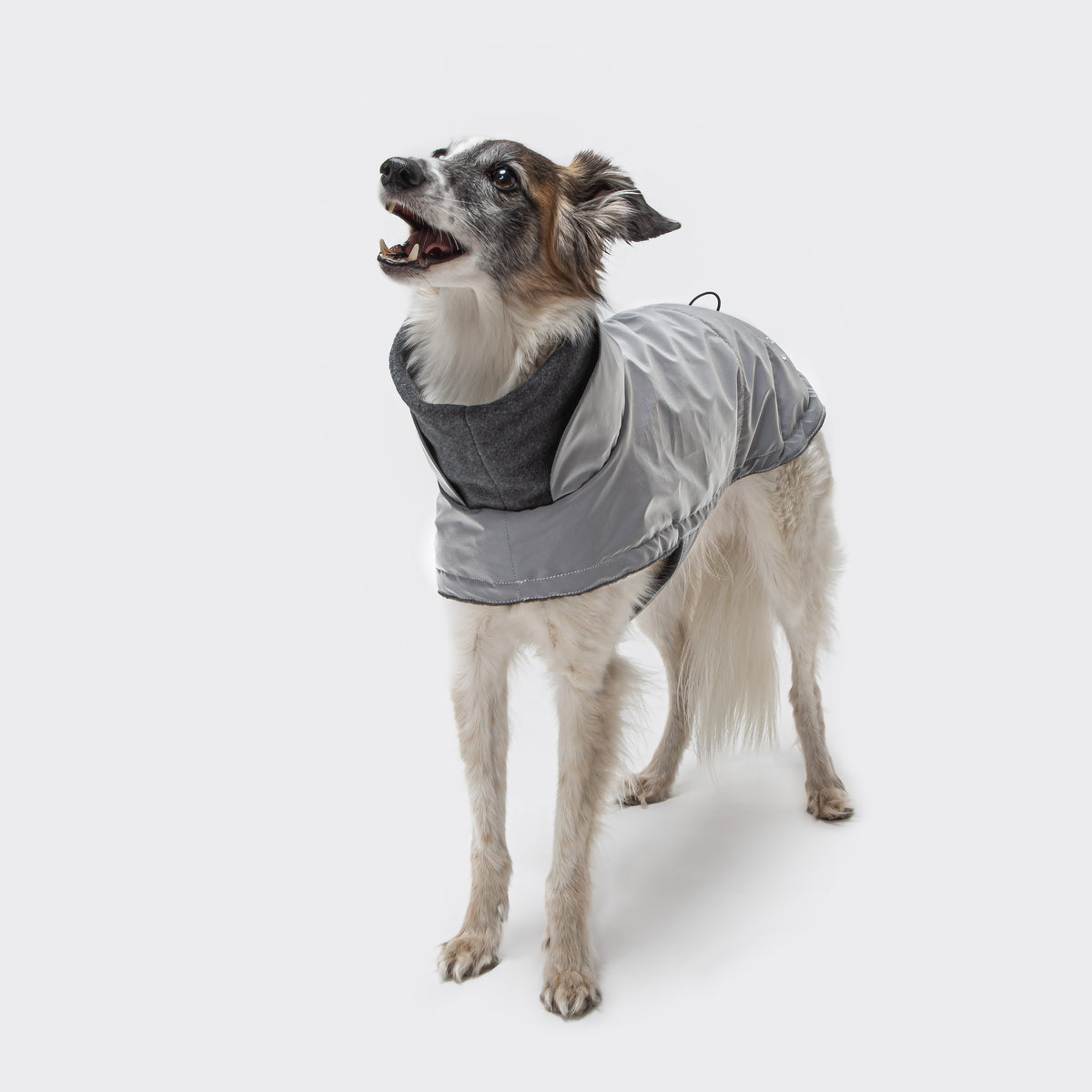 Cloud7 Hundemantel Brooklyn Reflective Hunderegenmantel wasserabweisend