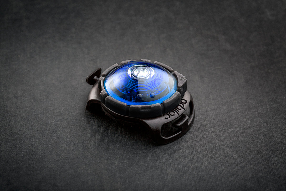 Orbiloc Dog Dual Blue Sicherheitslicht