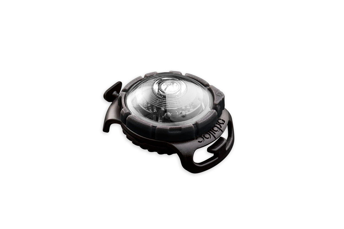 Orbiloc Dog Dual White LED Sicherheitslicht