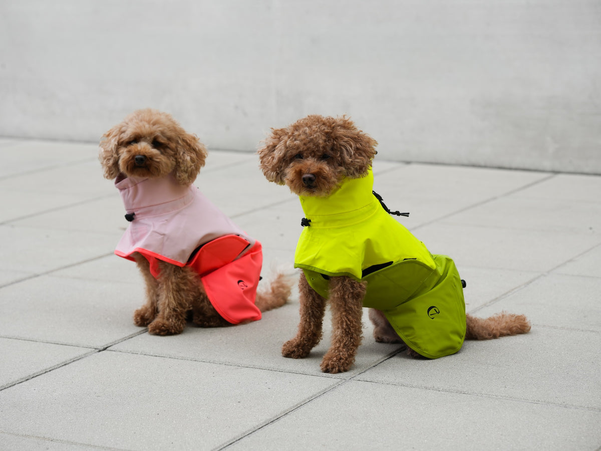 Cloud7 Hunderegenmantel Aktiv Peach Neon Pink Hunderegenmantel Regenmantel für Hunde mit Geschirr

