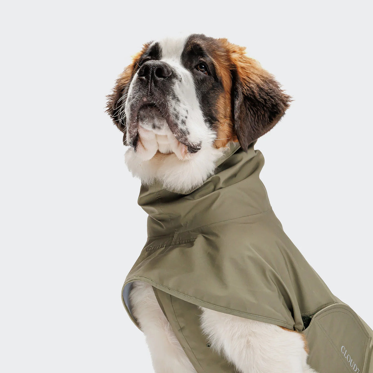 Cloud7 Hunderegenmantel Helgoland Olive Hundemantel wasserabweisend