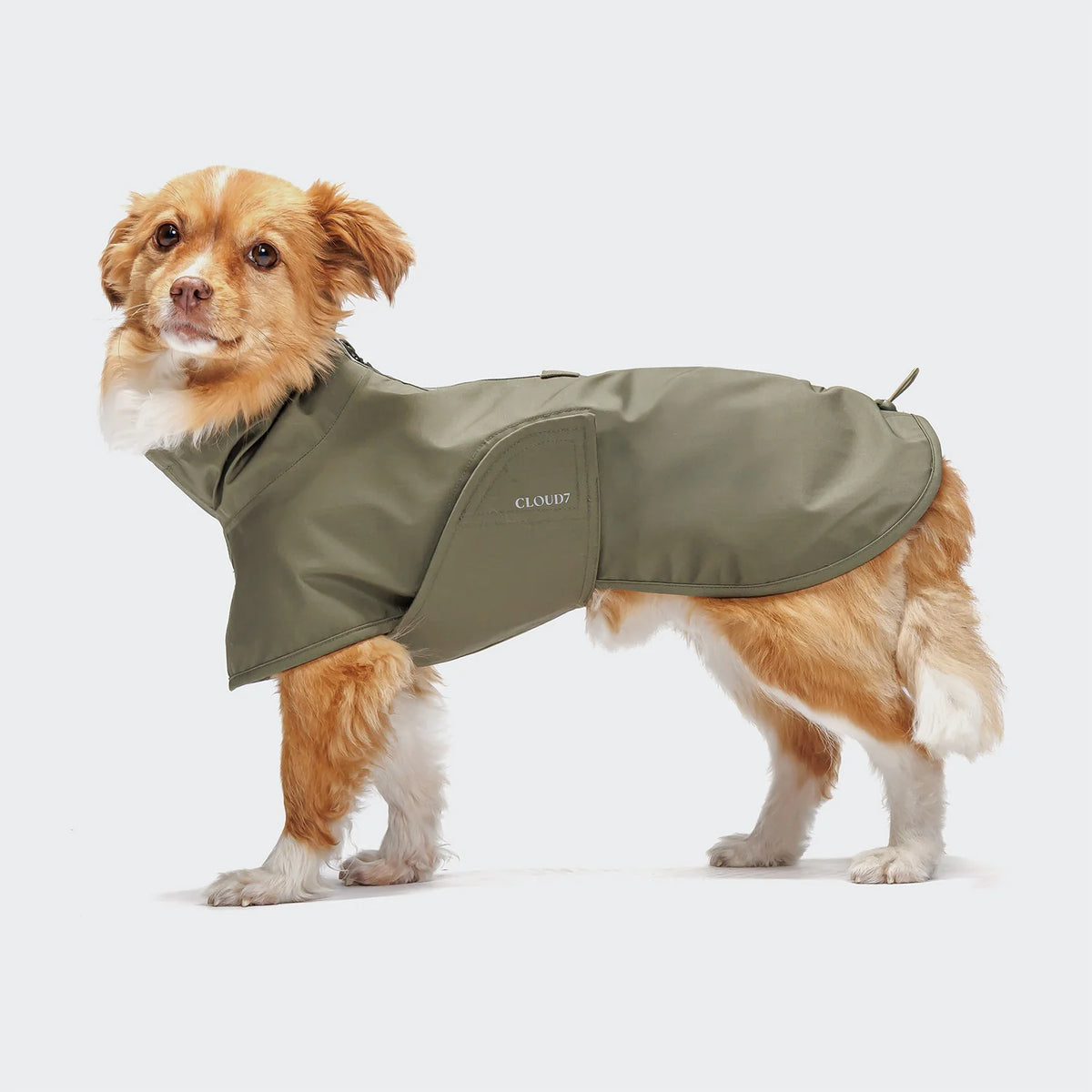 Cloud7 Hunderegenmantel Helgoland Olive Hundemantel wasserdicht wasserabweisend