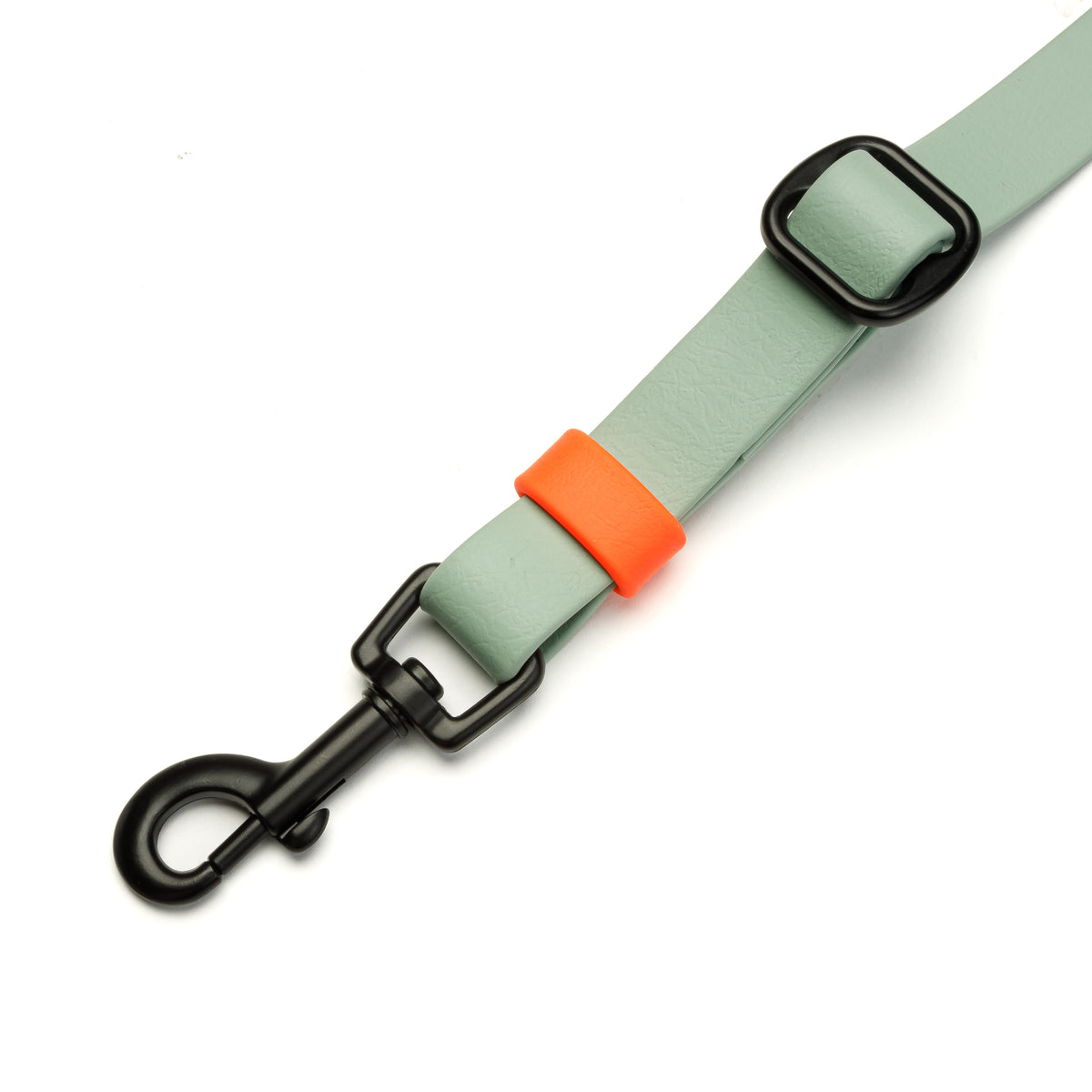 Cloud7 Freihandleine BioThane Ipanema Mint-Neon Orange Hundeleine