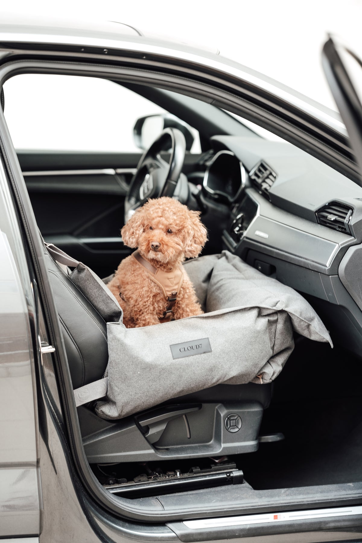 Cloud7 Hundeautositz Getaway Light Graphite Autofahren mit Hund Autositz Hund 