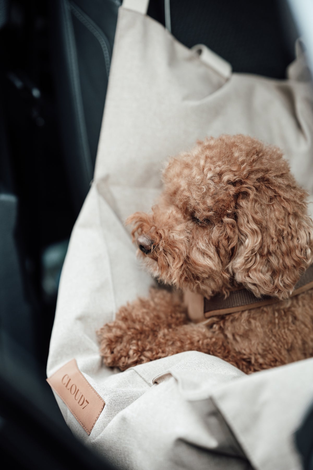 Cloud7 Hundeautositz Getaway Sand Autositz für Hunde waschbar
