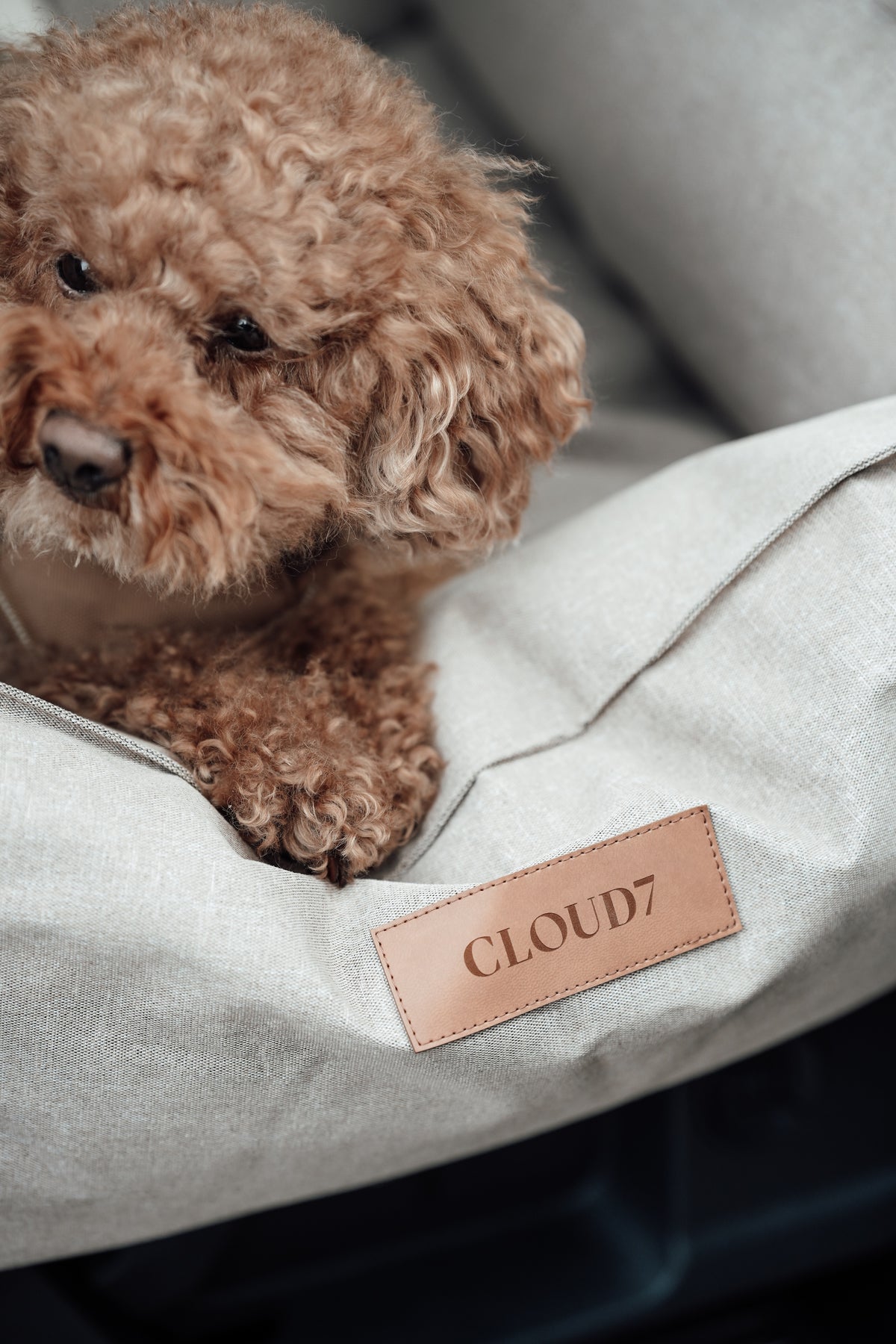 Cloud7 Hundeautositz Getaway Sand Hundeautositz mit integriertem Anschnallgurt 