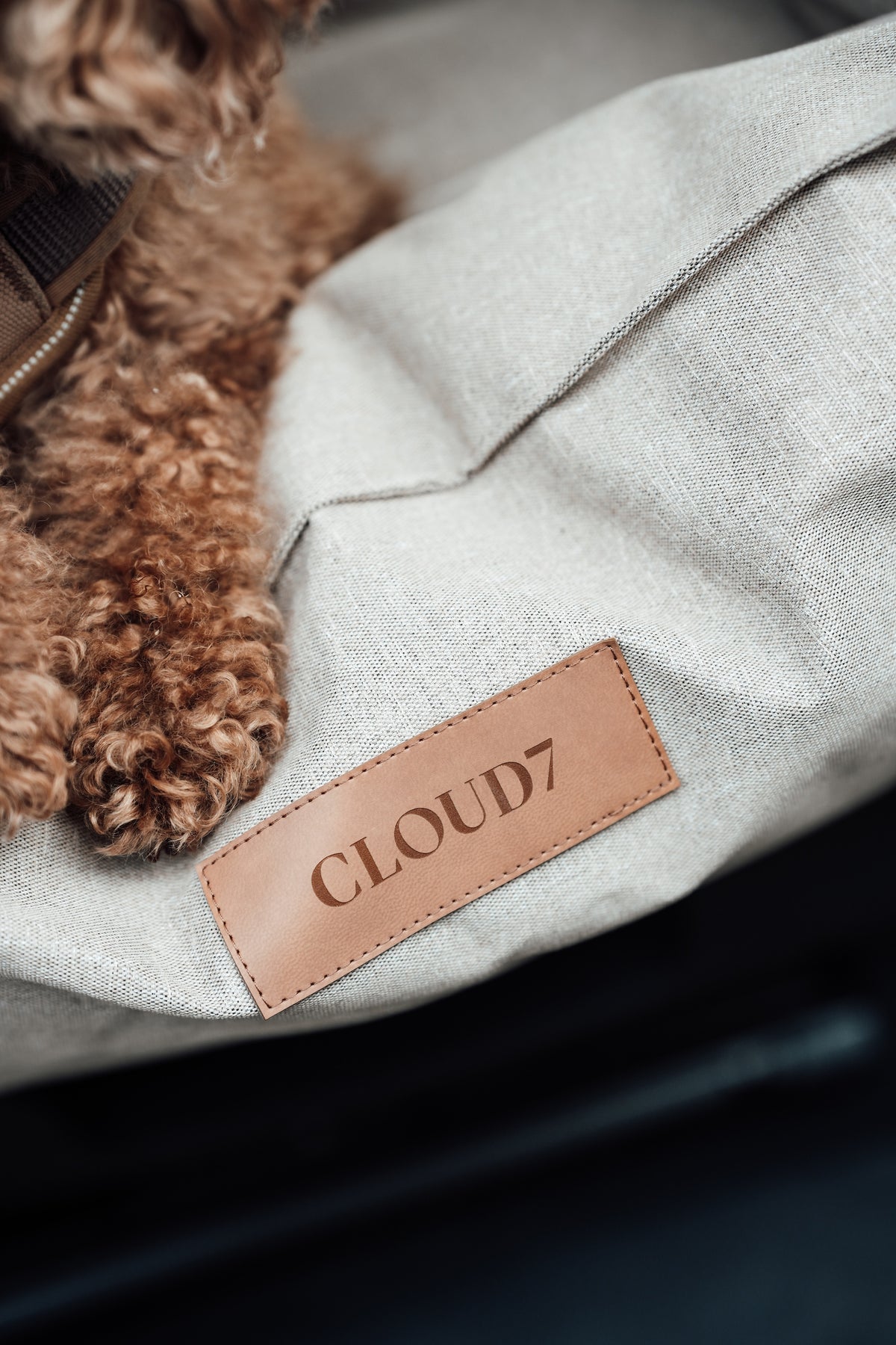 Cloud7 Hundeautositz Getaway Sand Hundeautositz waschmaschinengeeignet 