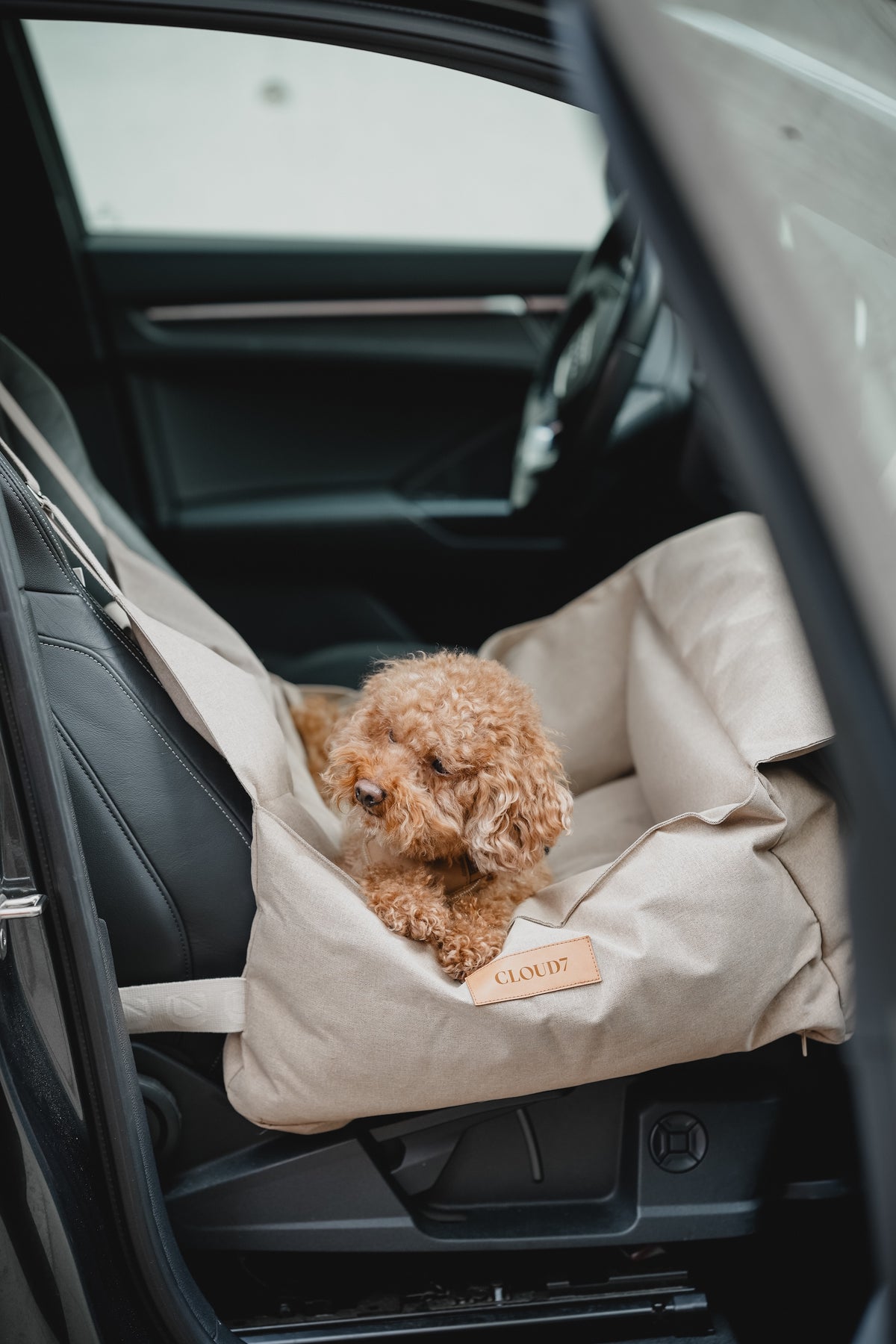 Cloud7 Hundeautositz Getaway Sand  Hundeautositz Autofahren mit Hund 