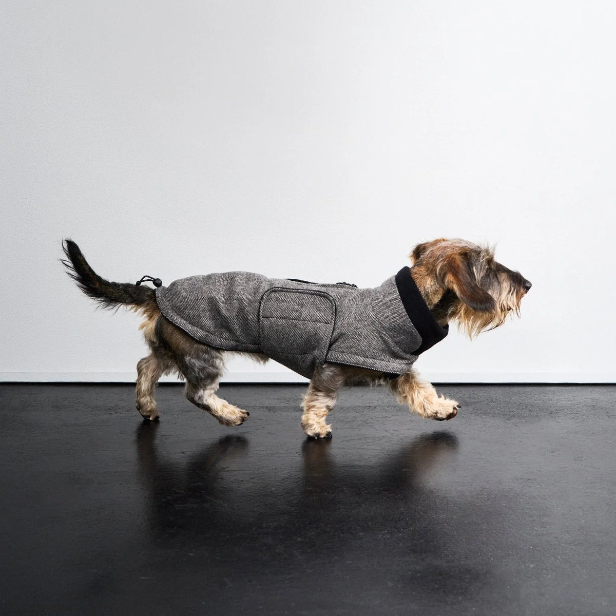 Cloud7 Hundemantel Brooklyn Dackel Tweed Black Hundemantel Winter