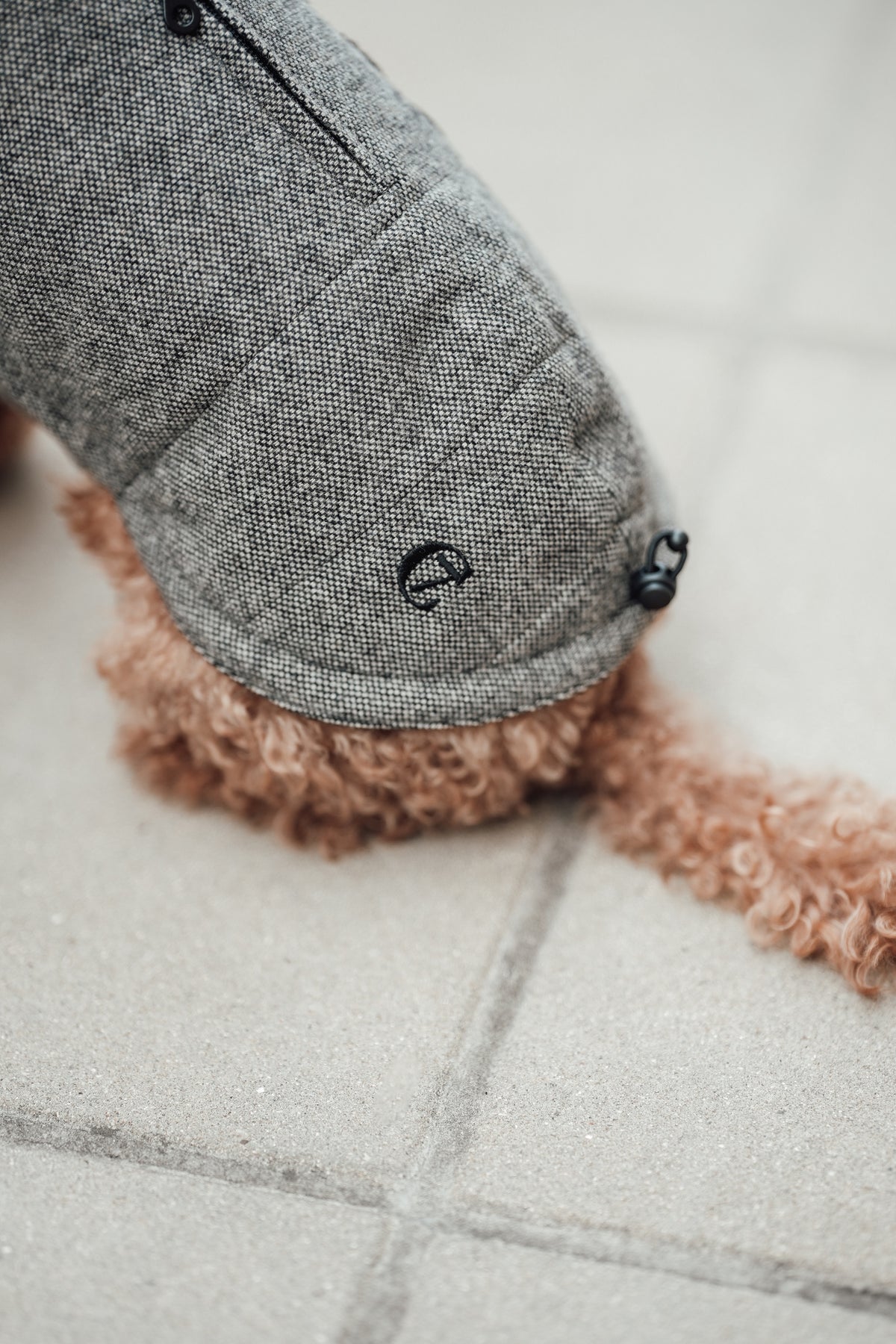 Cloud7 Hundemantel Brooklyn Tweed Black LEVEY Hundewintermantel wasserabweisend 