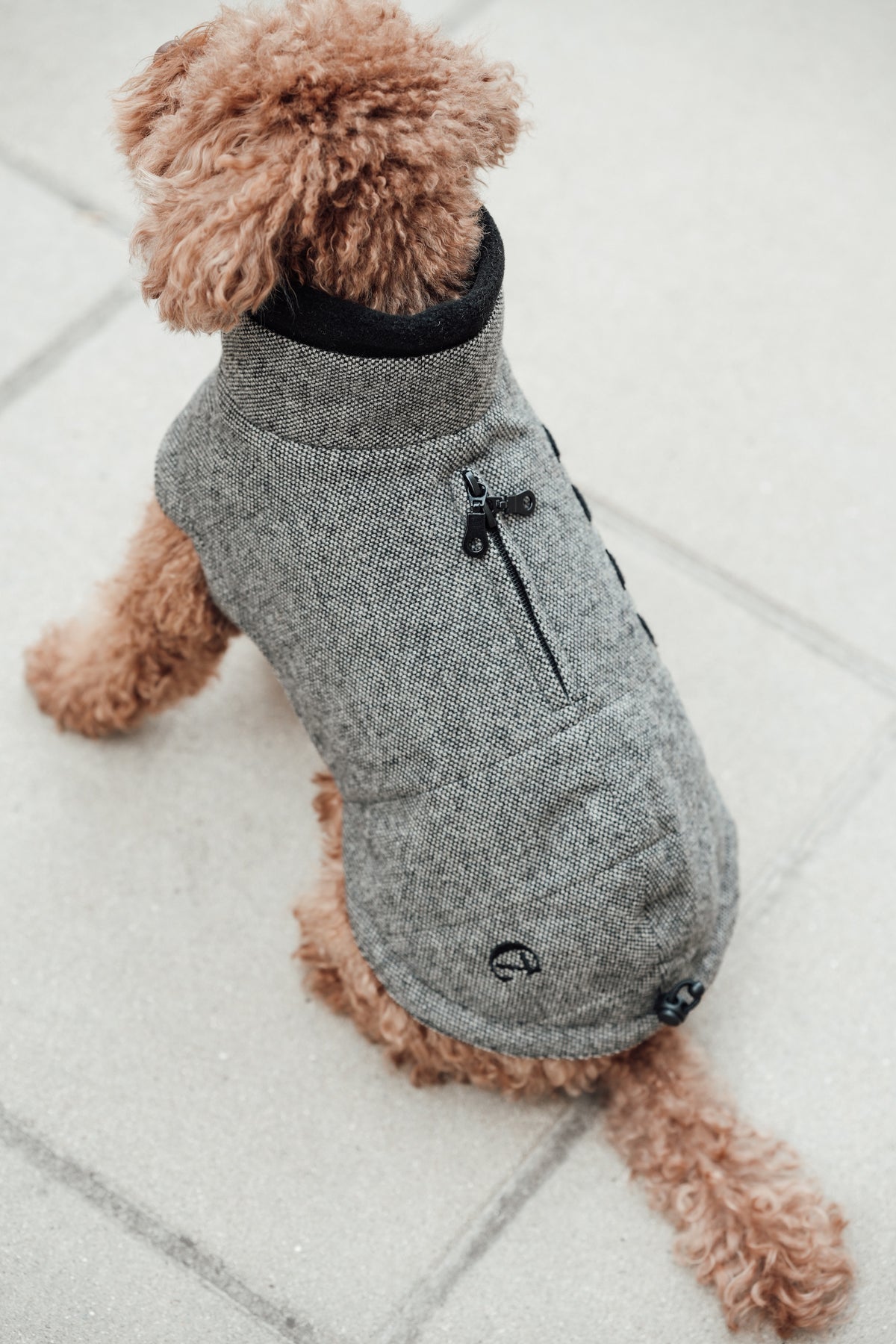 Cloud7 Hundemantel Brooklyn Tweed Black LEVEY Wintermantel für Hunde 
