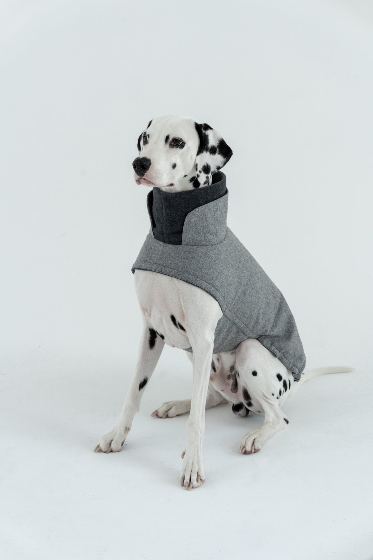 Cloud7 Hundemantel Brooklyn Flanell Grey Hundewintermantel mit Bauchschutz