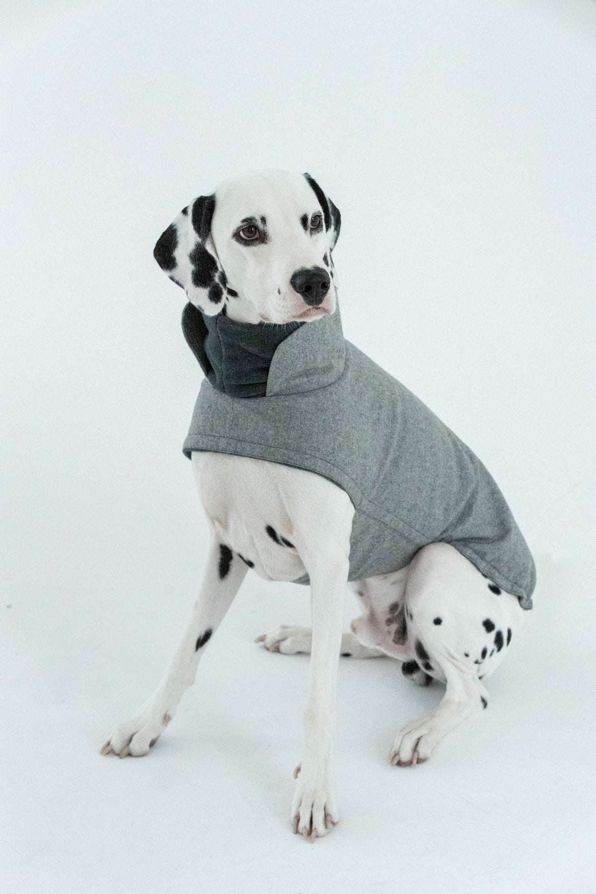 Cloud7 Hundemantel Brooklyn Flanell Grey Wintermantel Hund wasserdicht Bauchschutz