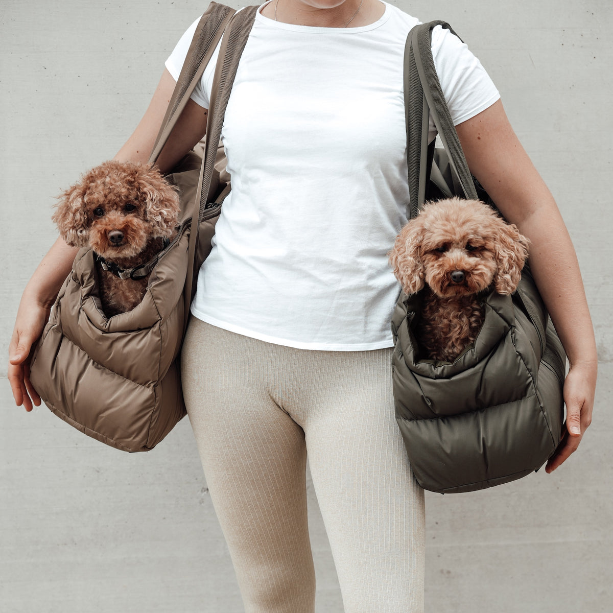 Cloud7 Hundetasche Montreal Hundetragetasche zum Umhängen