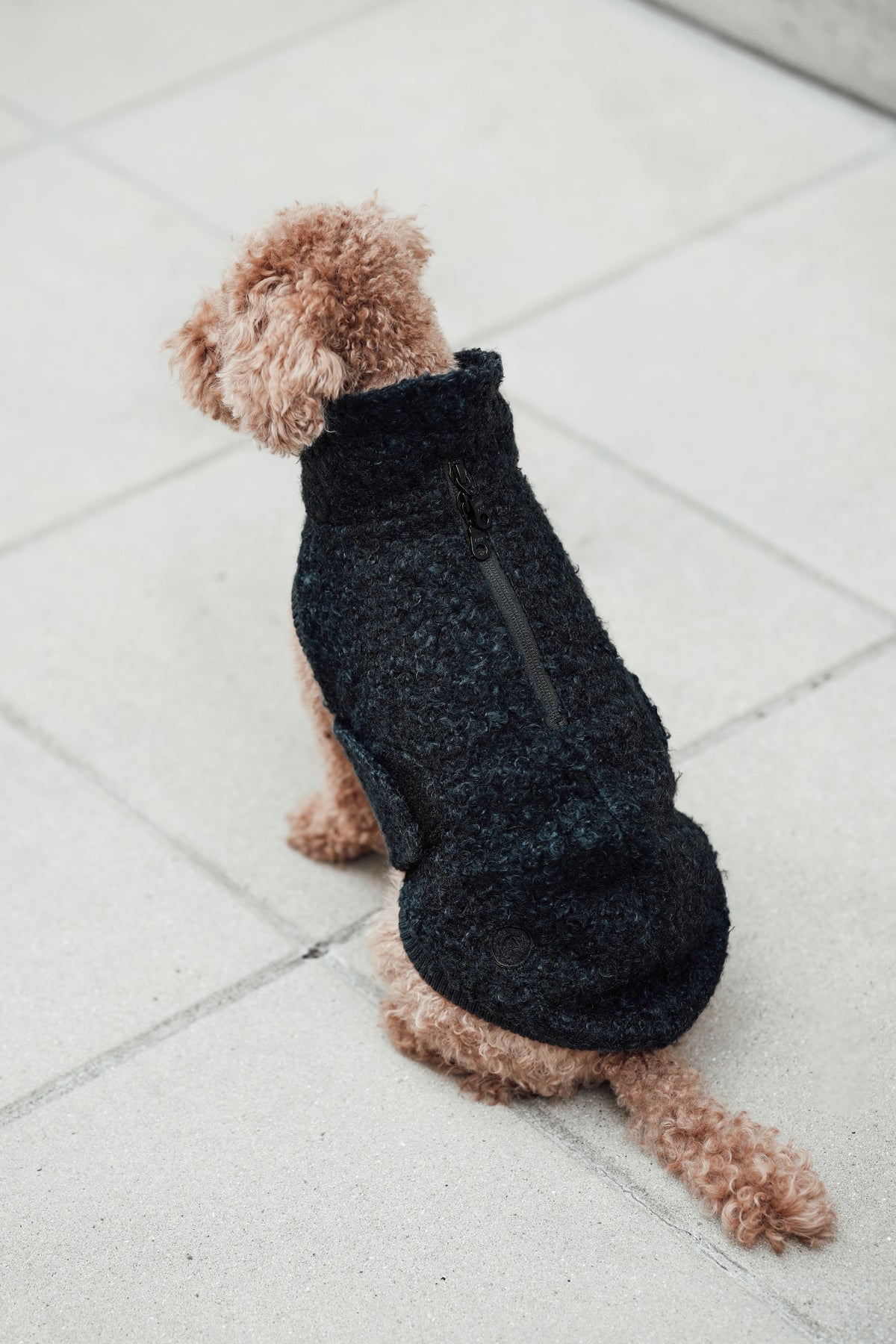 Cloud7 Hundewintermantel Hundepullover Gotland Anthra Hundewintermantel wasserabweisend