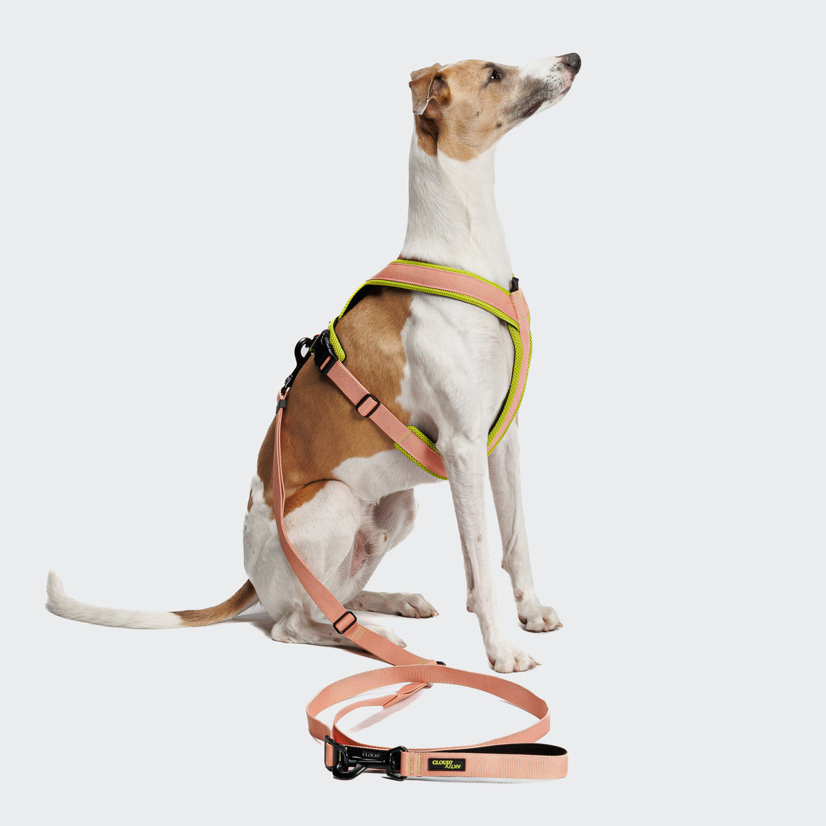 Cloud7 Y-1-Harness Peach / Neon Green
 Geschirr für Hunde
