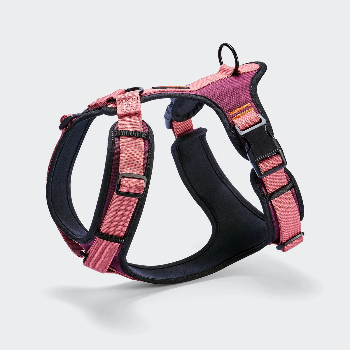 Cloud7 Y-3 Geschirr AKTIV Softshell Aubergine/Soft Rose Hundegeschirr wasserabweisend