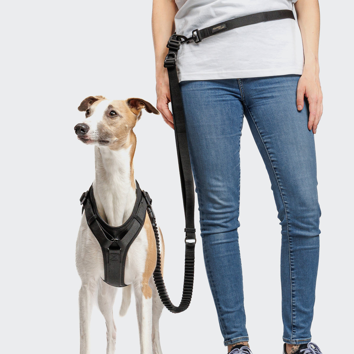 Cloud7 Y-3-Harness AKTIV Black Geschirr für Hunde Joggingleine für Hunde