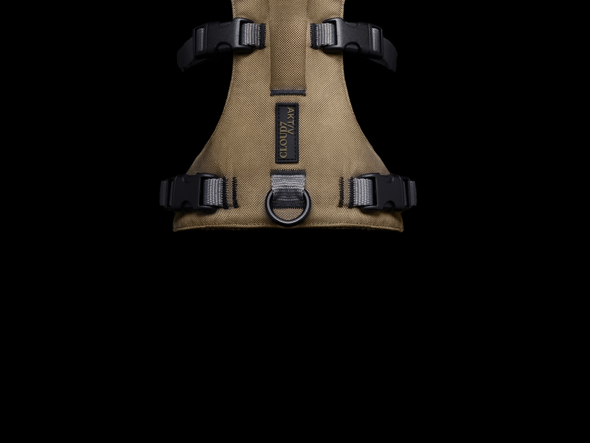 Cloud7 Y-Safe-Harness Khaki / Grey Sicherheitsgeschirr für Hunde mit Griff
