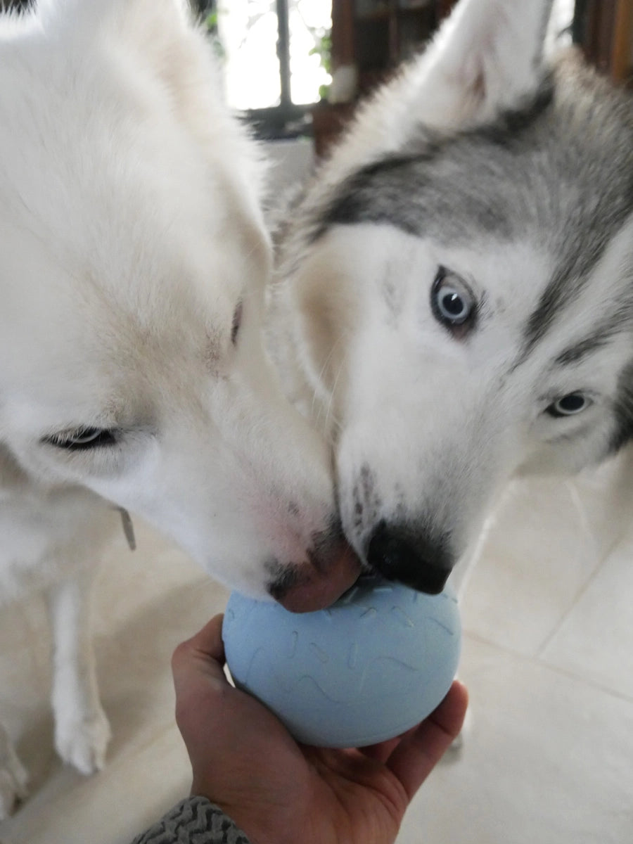 INOOKO Yoomy Donut Beschäftigungsspielzeug Himmelblau Antischlingnapf für Hunde