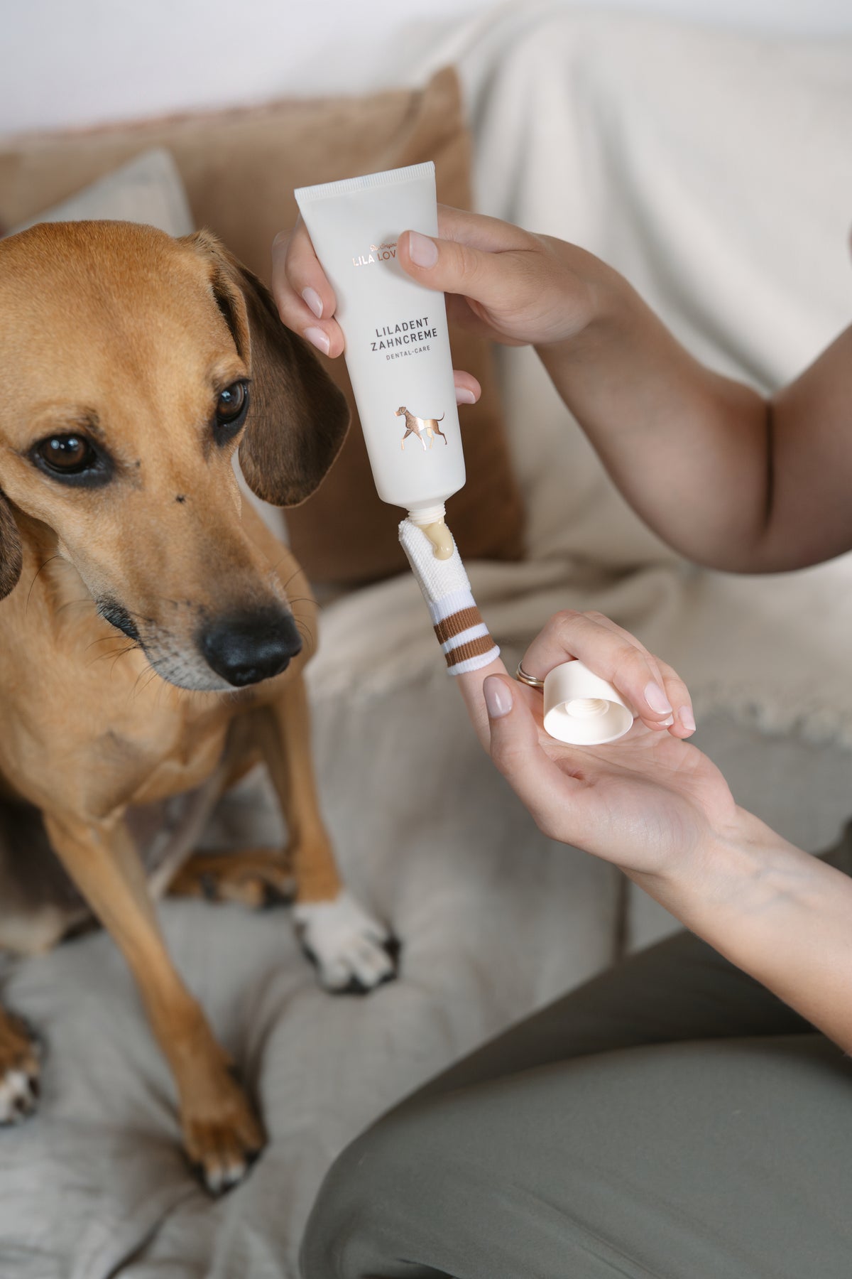 LILA LOVES IT LILADENT Zahncreme Zahncreme für Hunde Zahnpflege Zahnpasta Hund