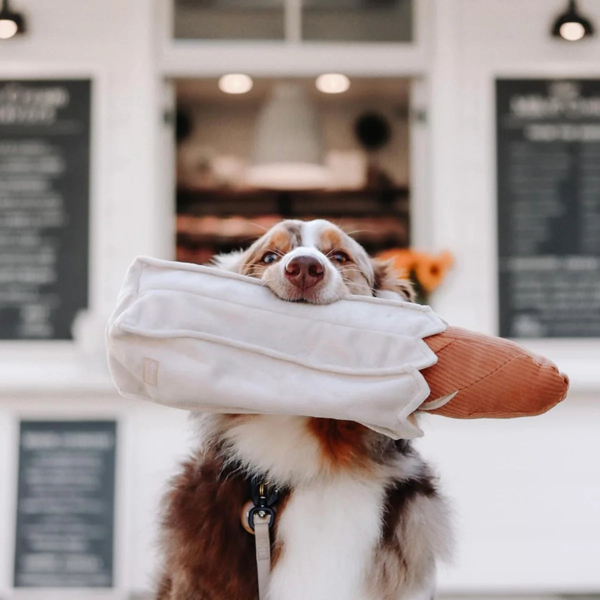 Lambwolf Collective Baguette grosses Schnueffelspielzeug fuer Hunde