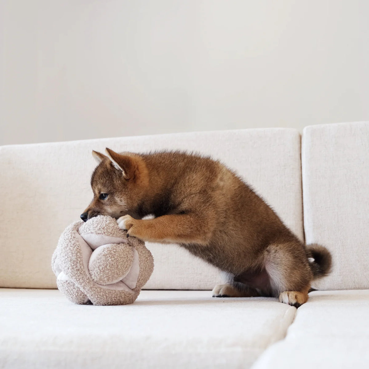 Lambwolf MONTI Schnüffelball Hafer Hundespielzeug