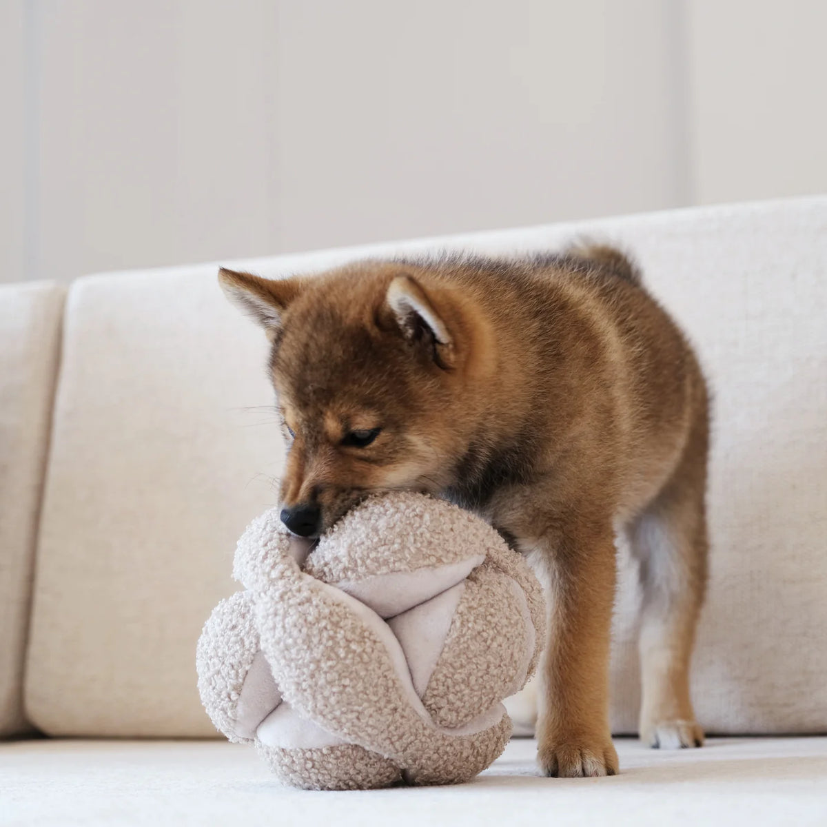 Lambwolf MONTI Schnüffelball Hafer Welpenspielzeug