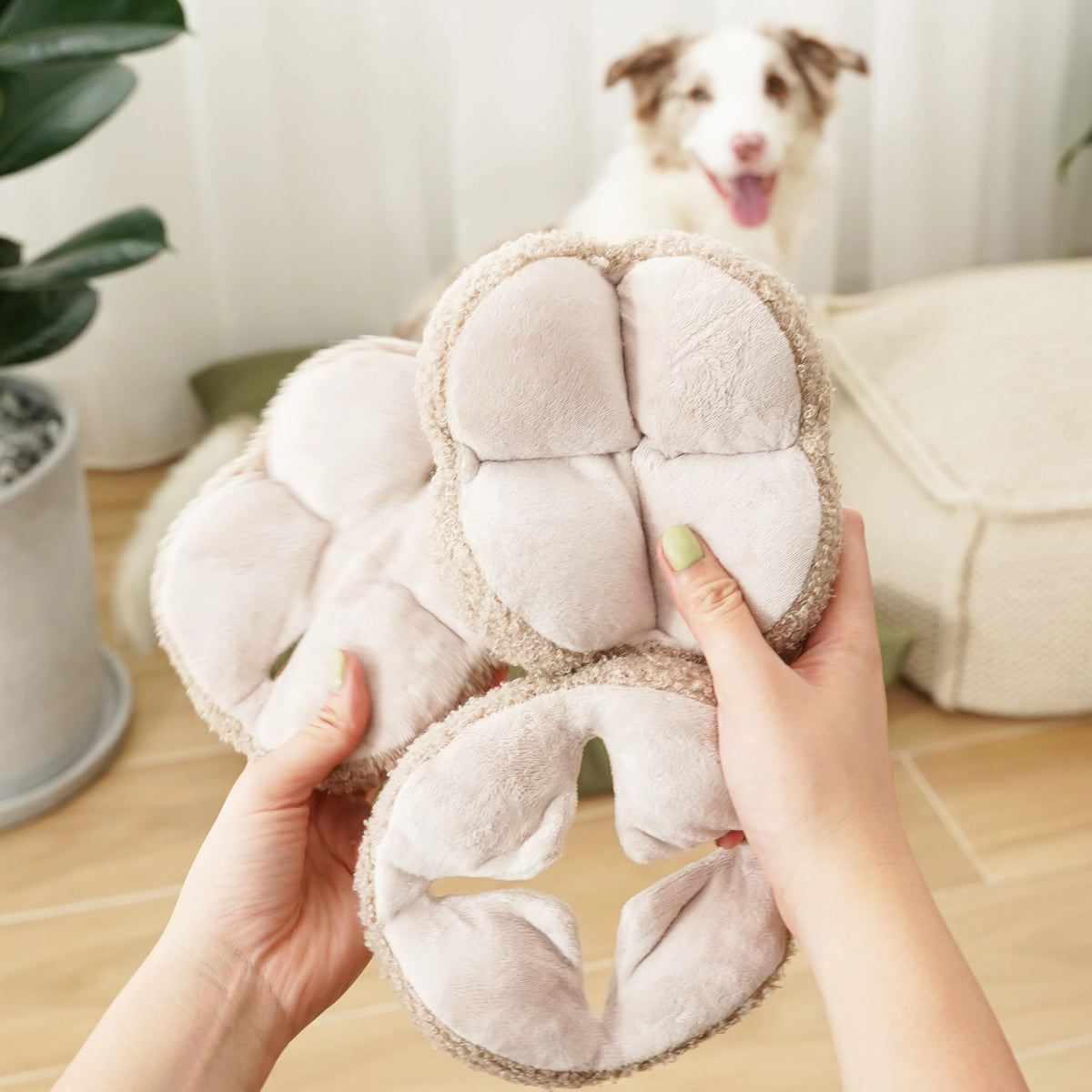 Lambwolf Monti Beschäftigungsspielzeug Schnüffelball Hafer Spielzeug für Hunde Hundespielzeug Alleinebleiben Hundespielzeug waschbar