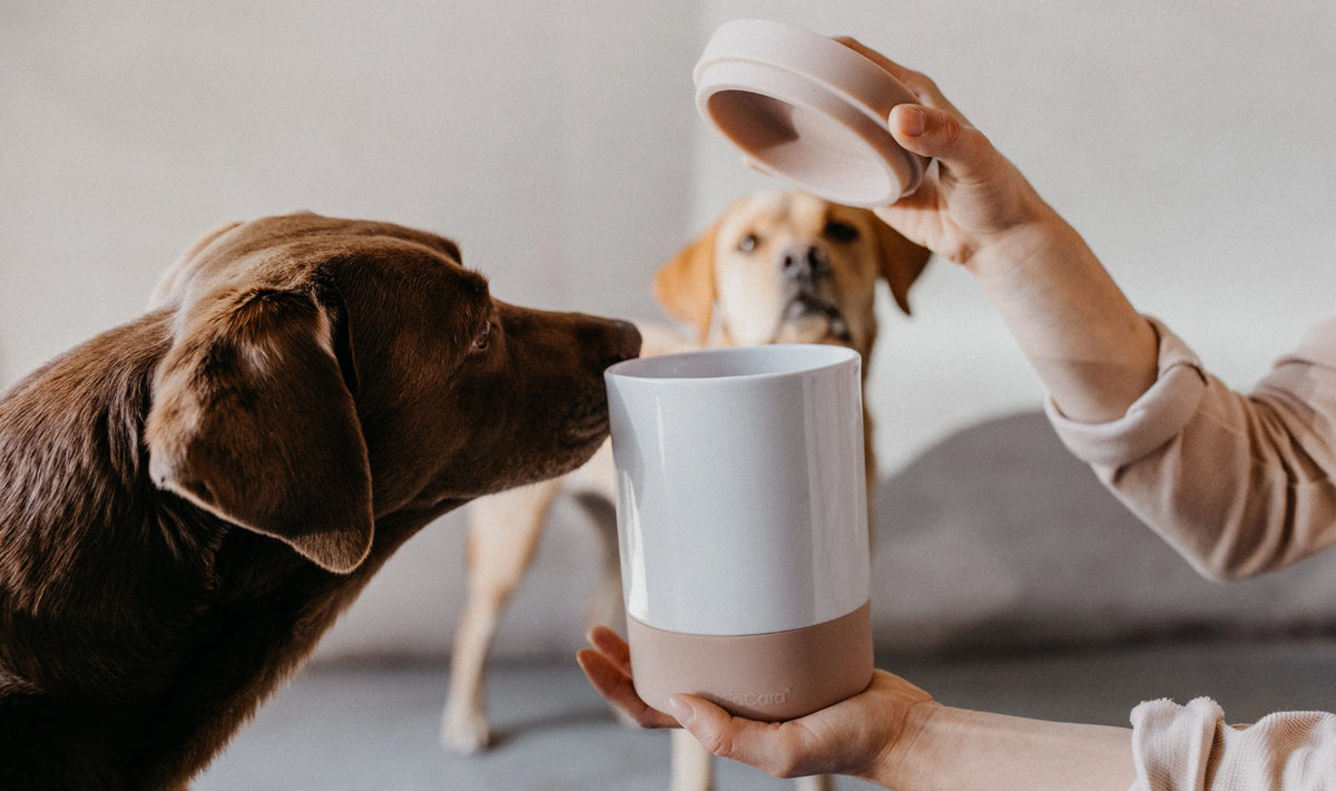 MiaCara Coppa Leckerlidose Greige moderne Leckerlidose für Hunde